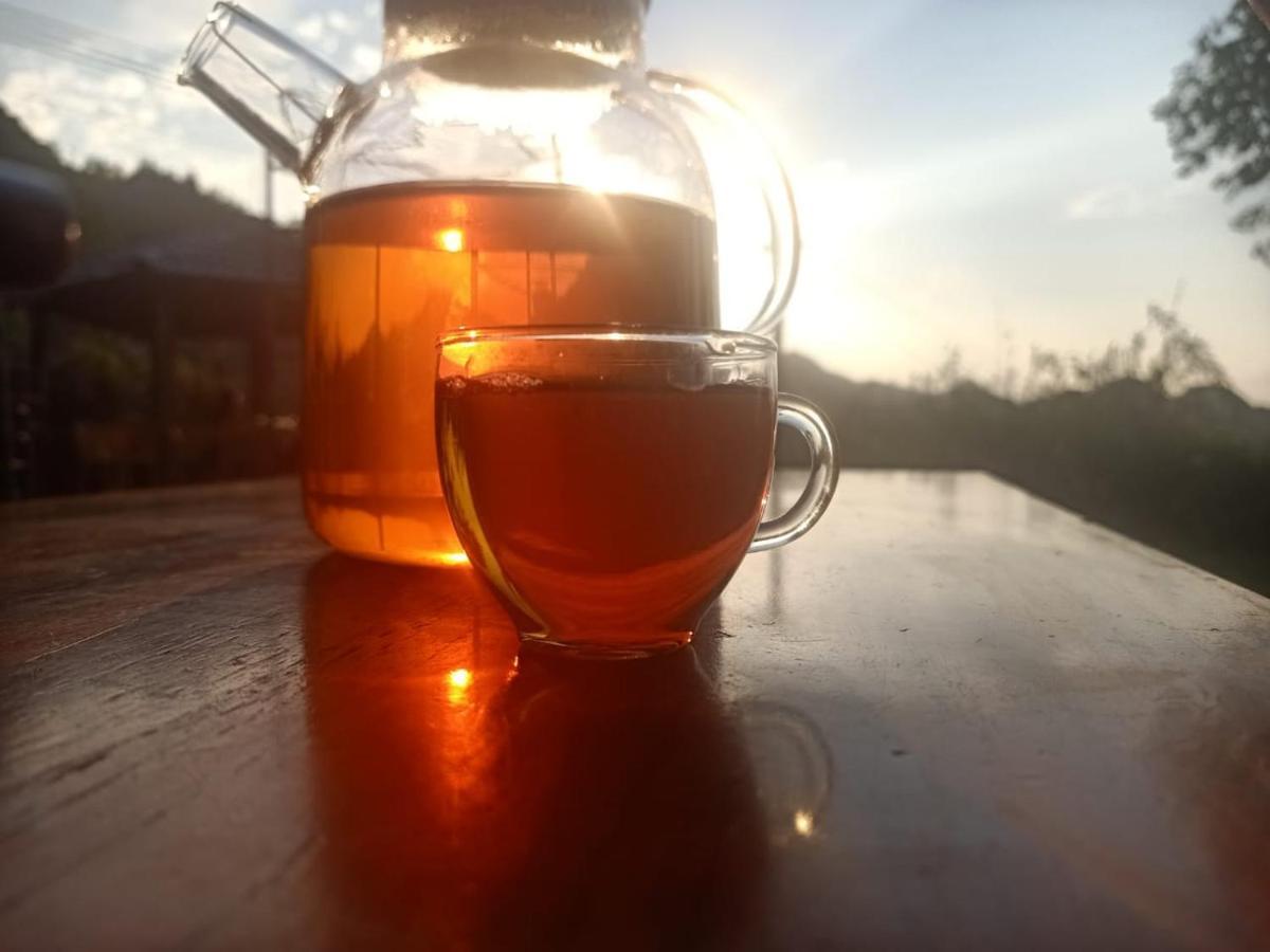 Long Co Tran - Homestay&Tea Ceremony Loung Co Kültér fotó